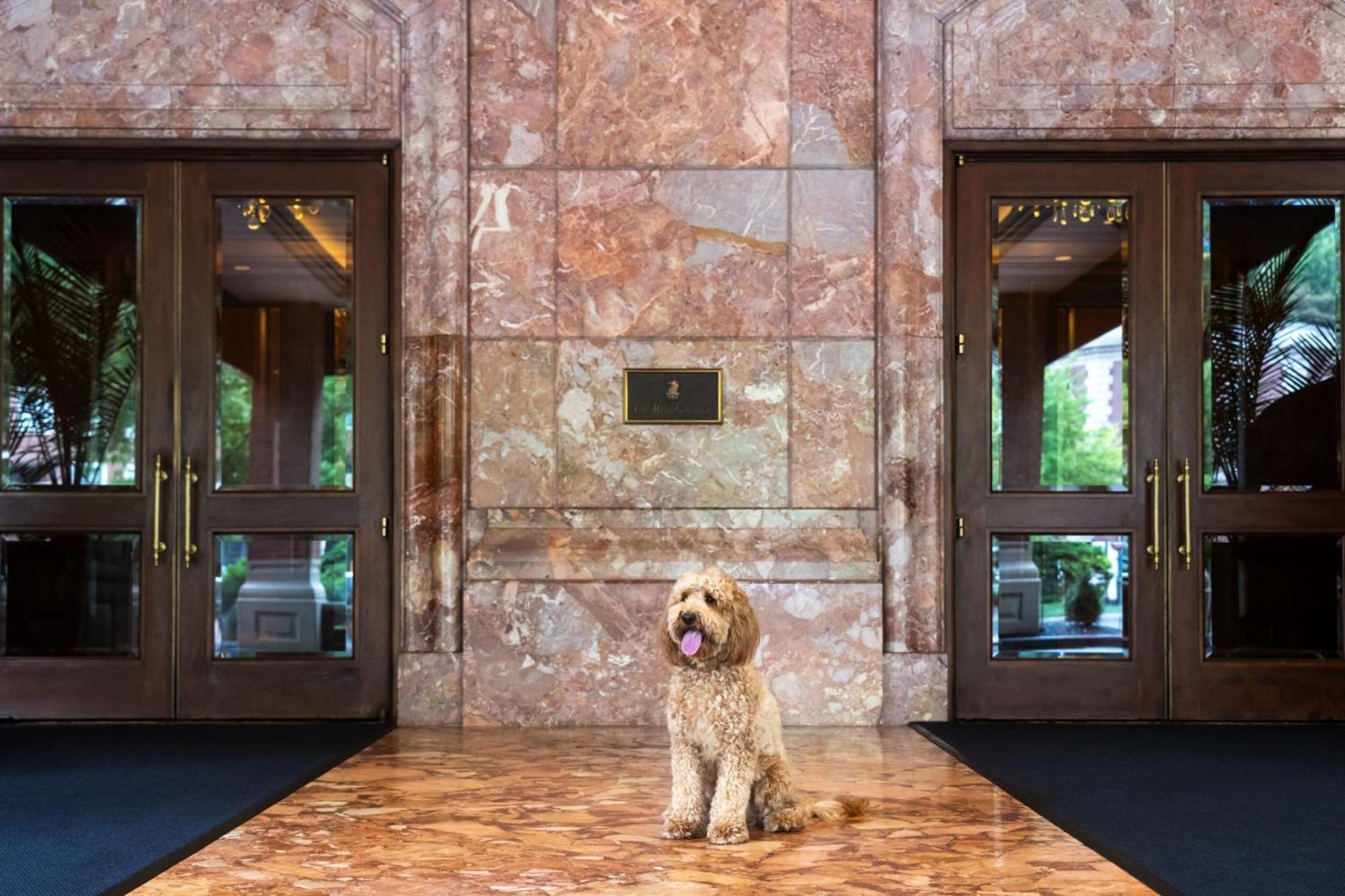 The Ritz-carlton, St. Louis Hotel